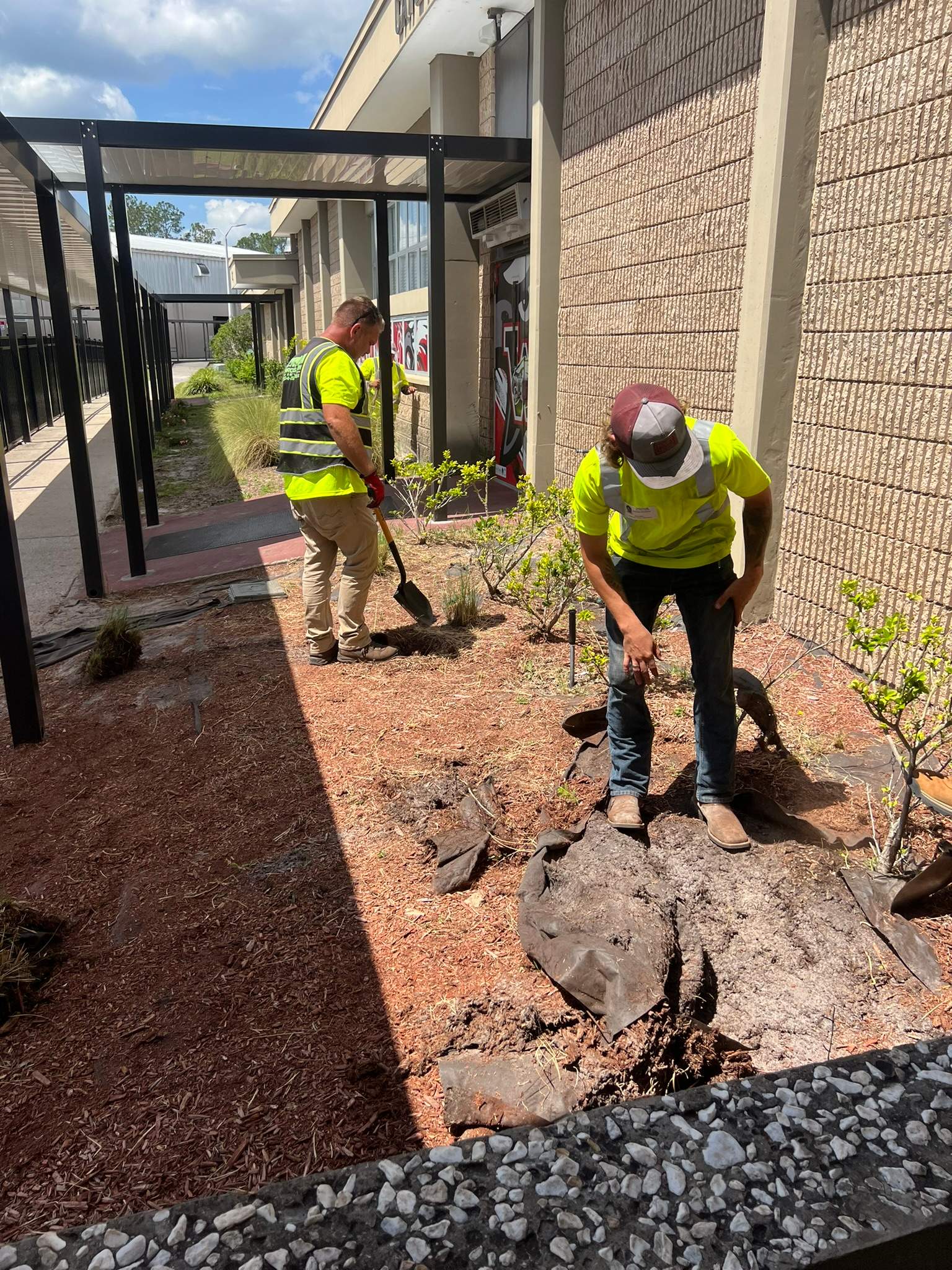 Landscape Install | Wilkinson JHS by ProGreen Services