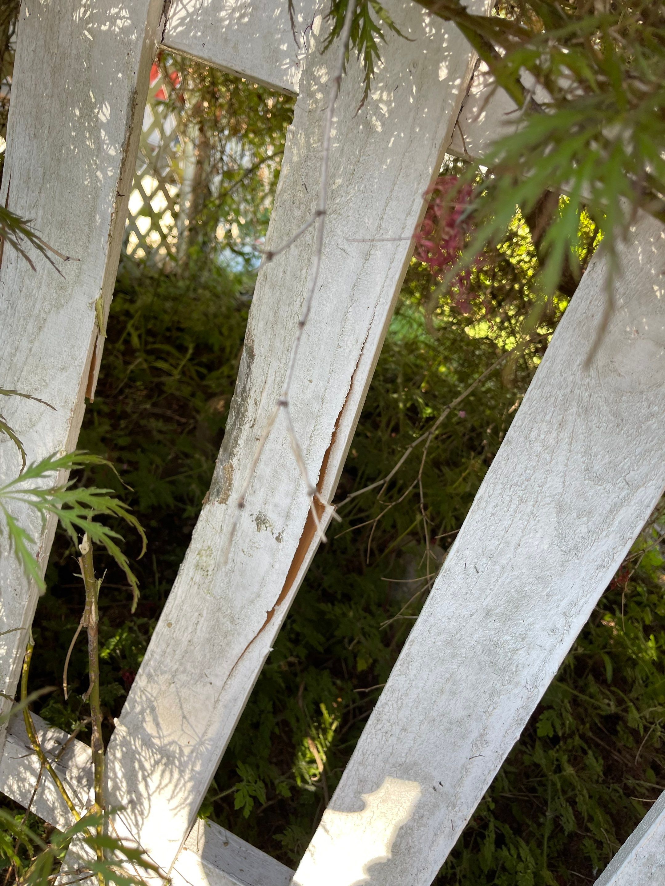 John | Asphalt Driveway by Jireh Asphalt & Concrete Inc 