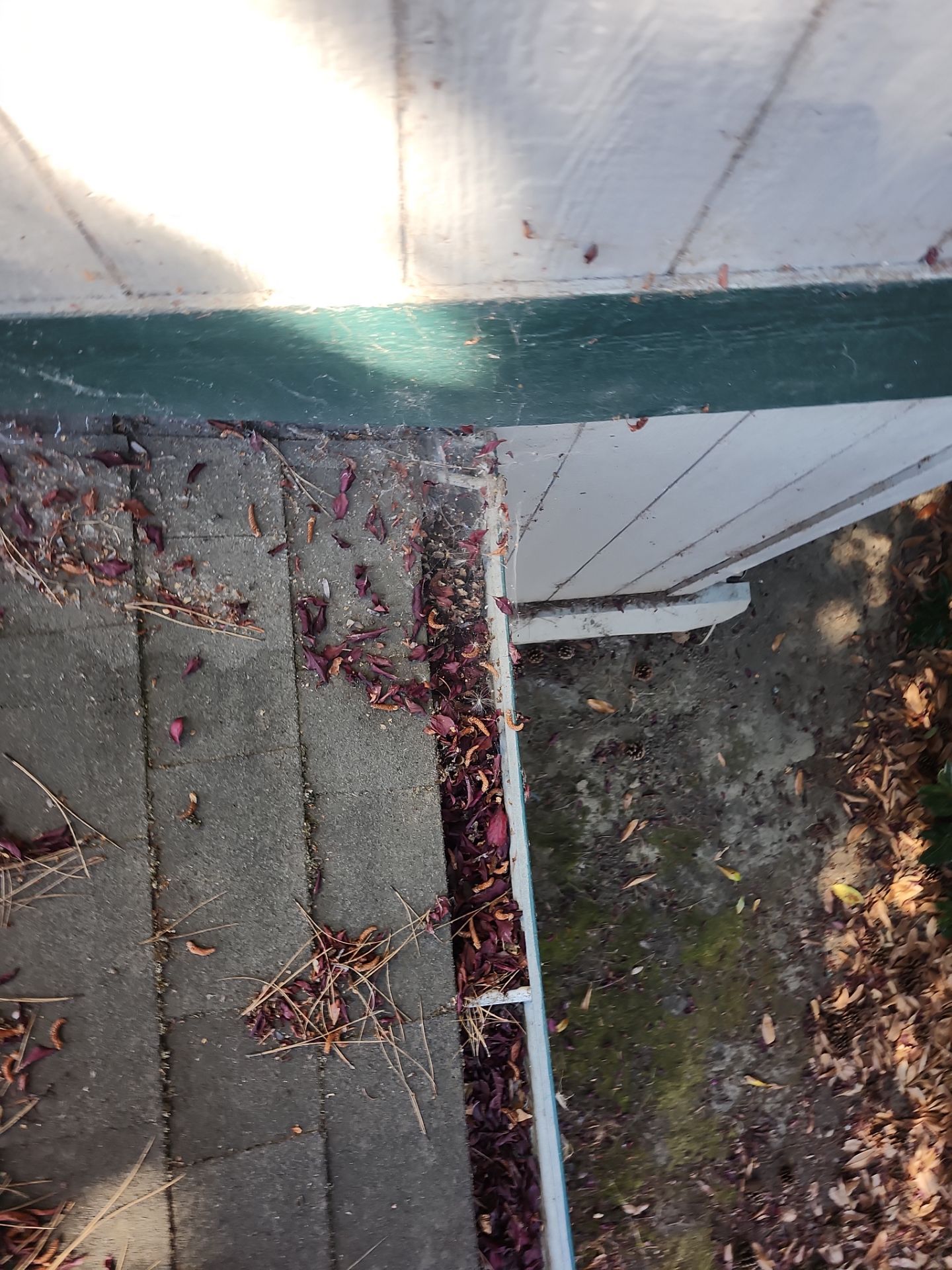 HOA gutter cleaning before Salem, OR