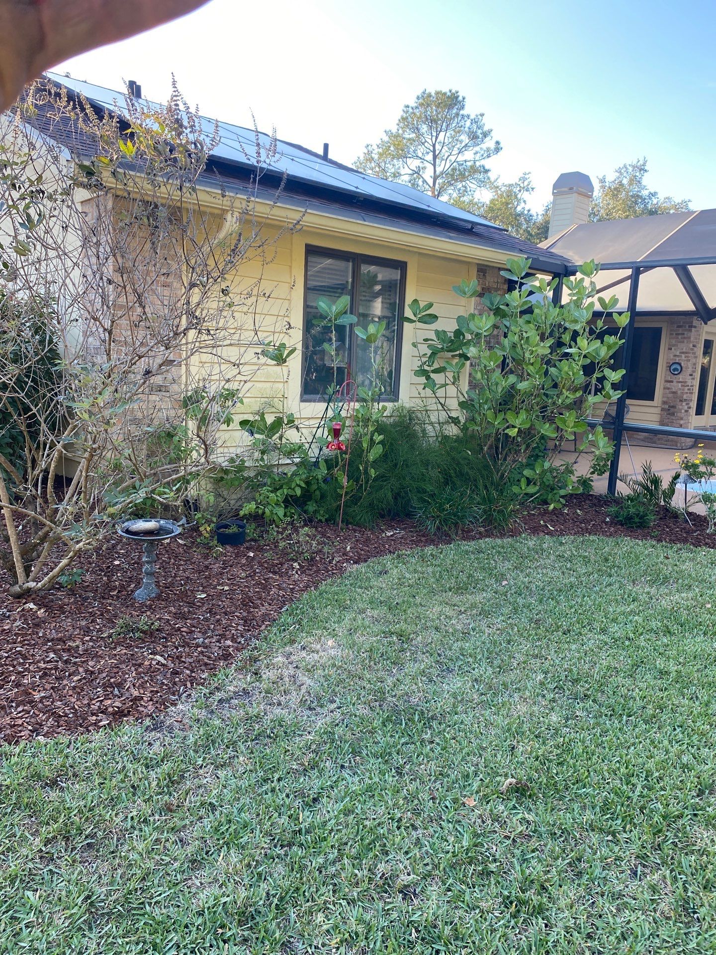 Deerwood Resident | Extreme Clean Up by ProGreen Services