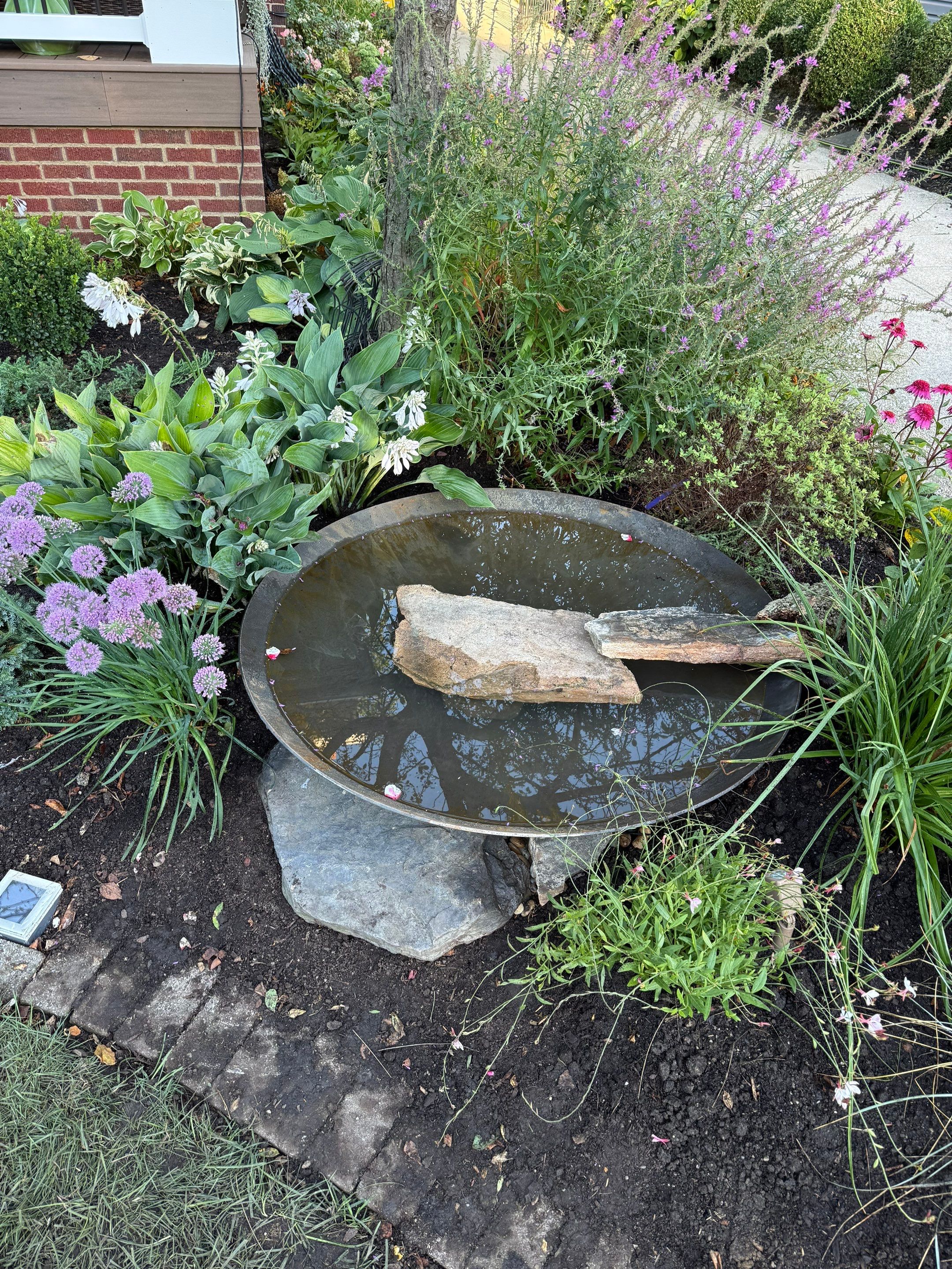 Elm Rose Home Project by Elm Rose Gardens