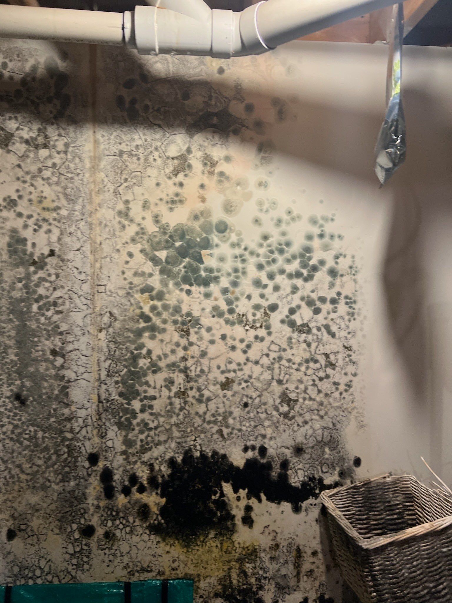 Project in Commerce Charter Twp by EzDry Water Mitigation & Property Restoration