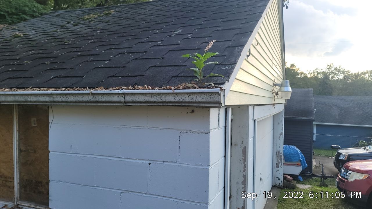 Atlas Pinnacle Color: Printine Scotchgard Black Shadow Drip Edge: Black by Eagle Eye Roofing