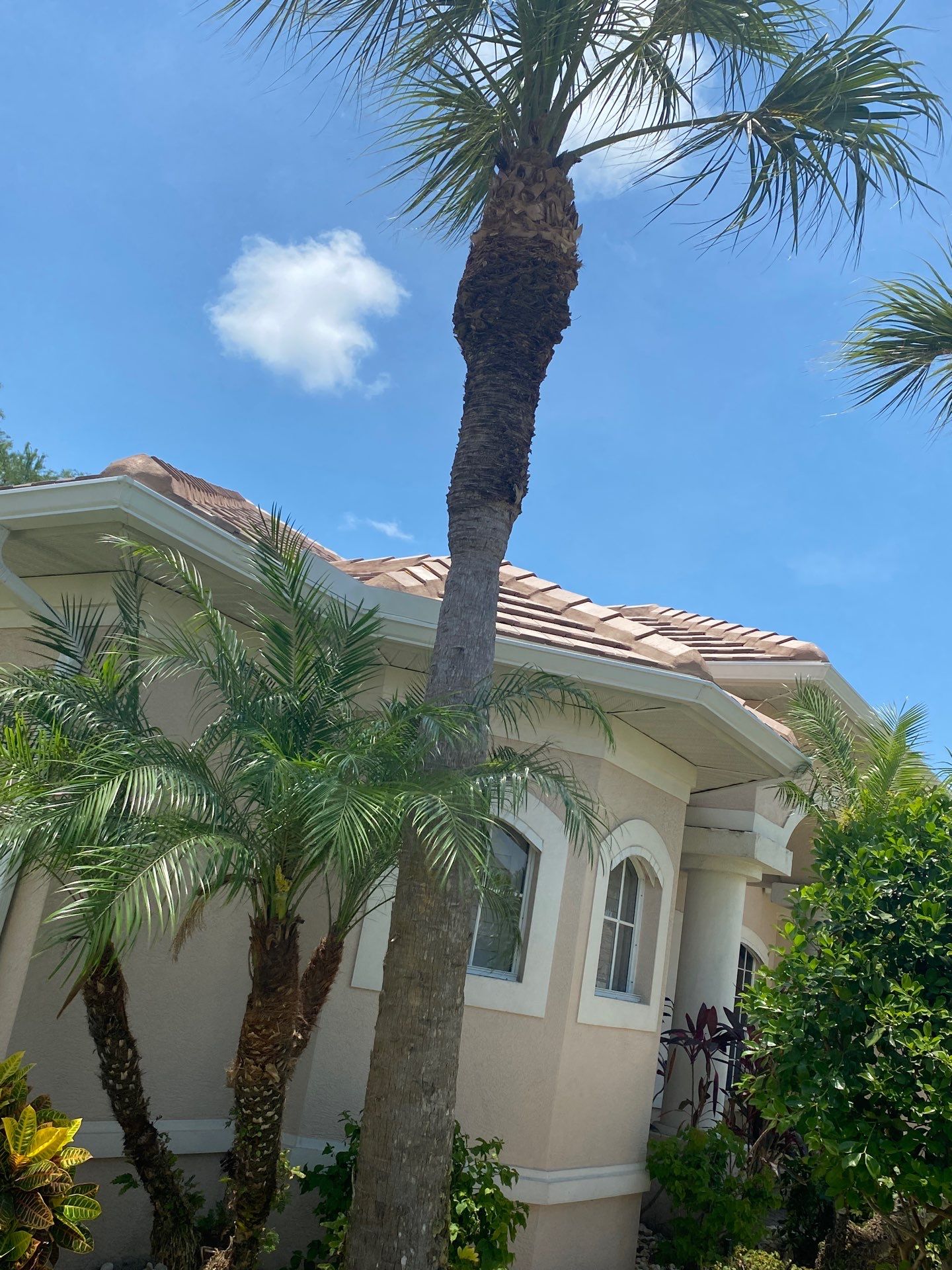 Seamless Gutter Upgrade Before & After in Bonita Springs FL by Gutter Professors