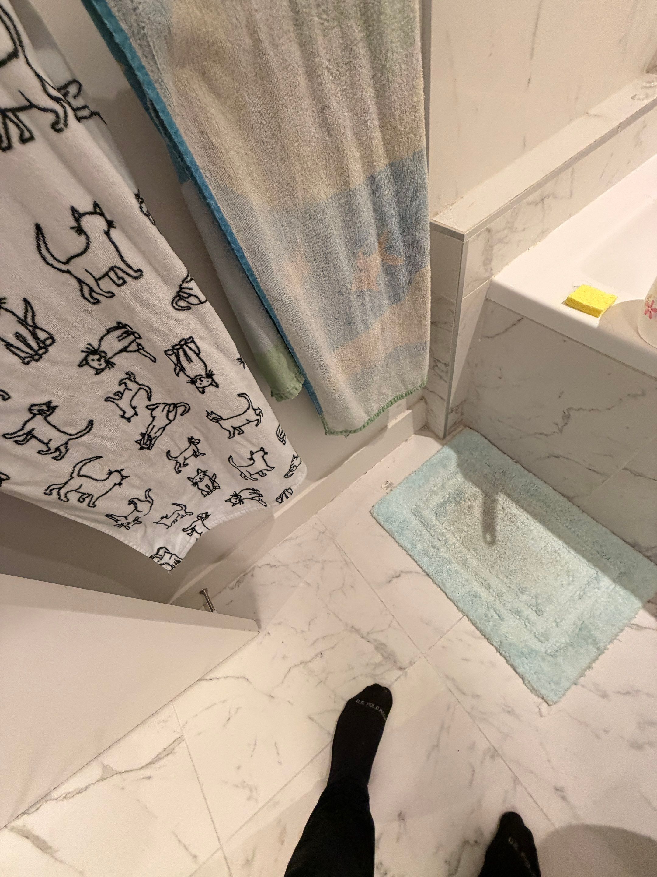 Bathroom Refresh & Mold Remediation in Tub and Shower Area by YVR Construction Group