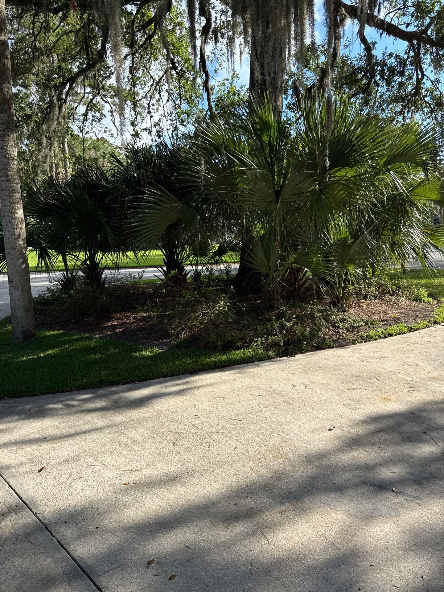 Residential | Pine Straw Install by ProGreen Services