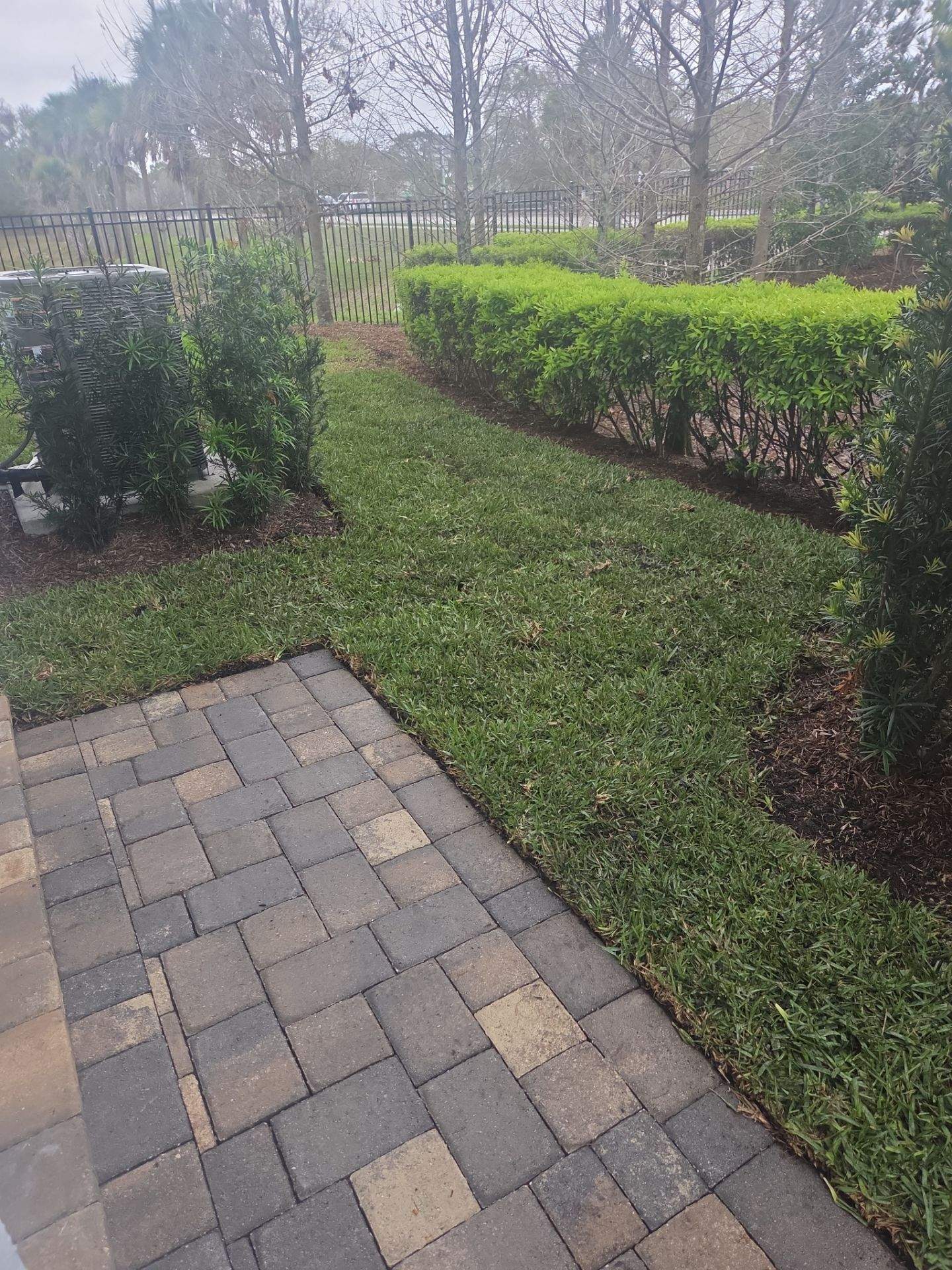 🌱 Magnolia Ridge Lawn Refresh by Alpha Zeta Enterprises Inc