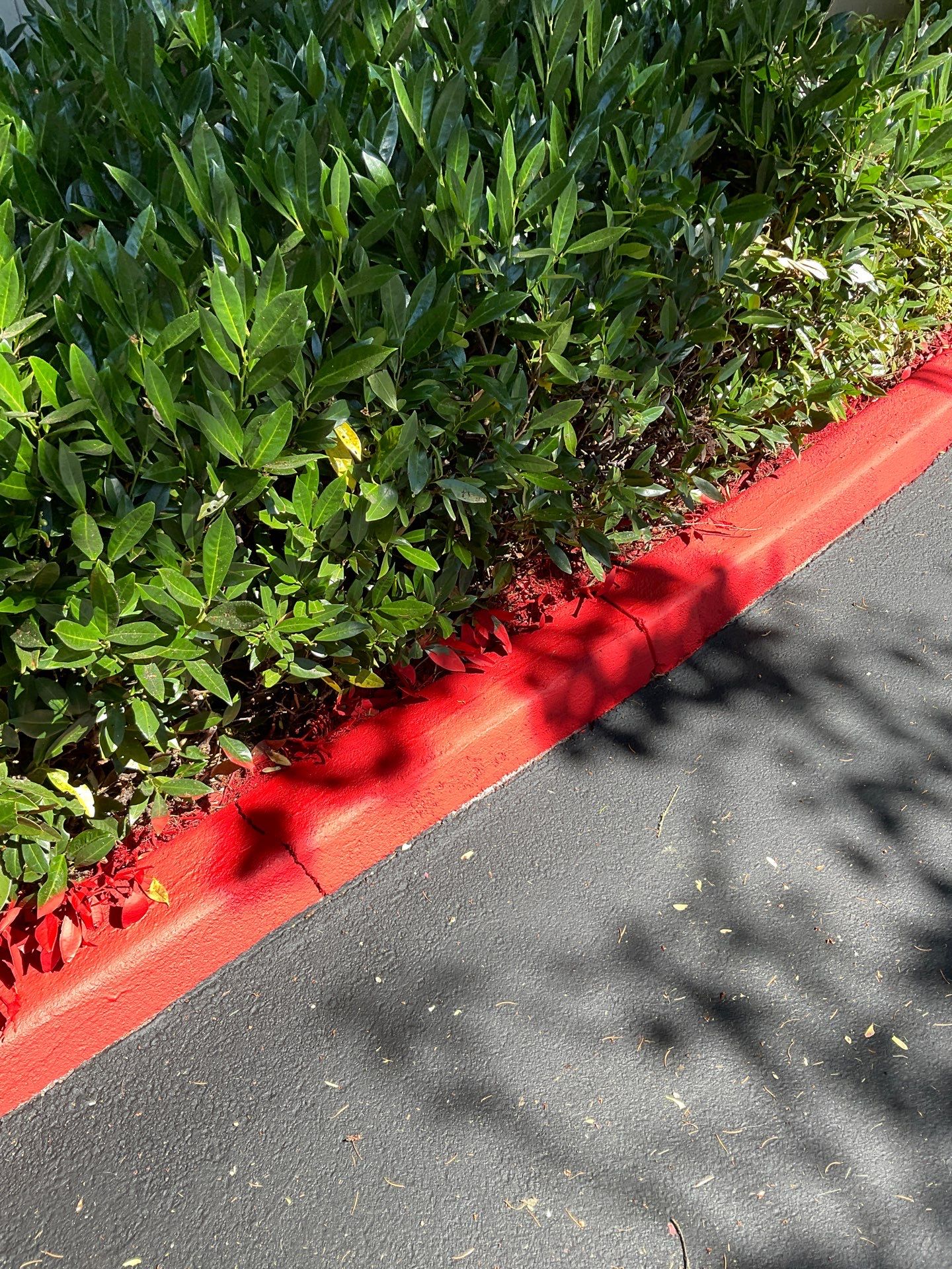 Curb Repaint | Seattle  by Jireh Asphalt & Concrete Inc 