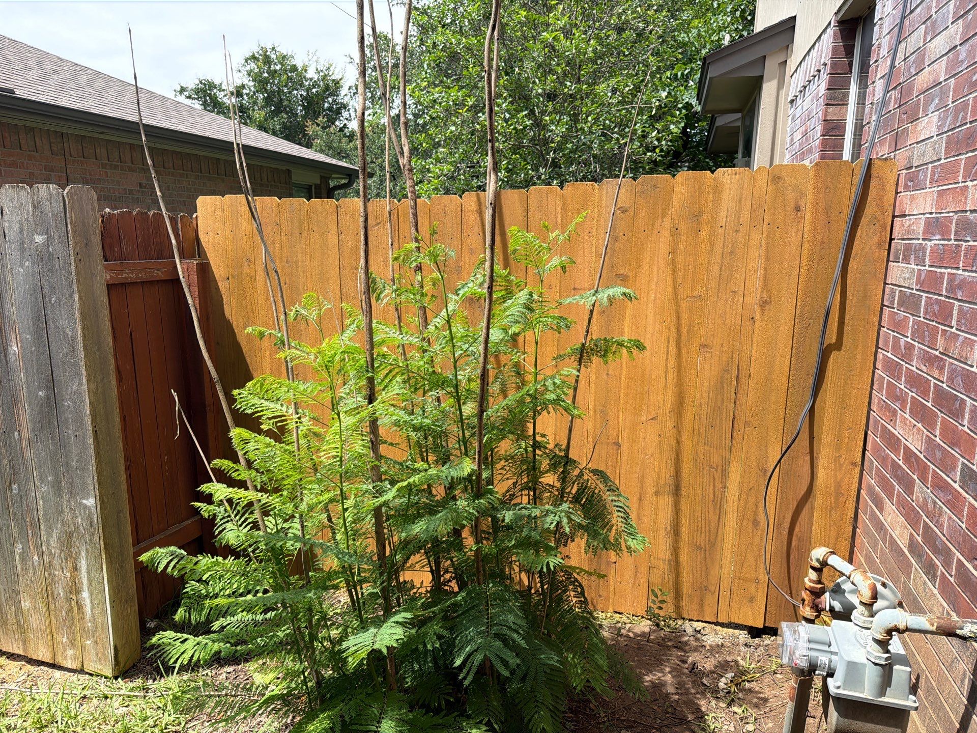 FRONT FENCE TRANSFORMATION! by Rhino Home Care