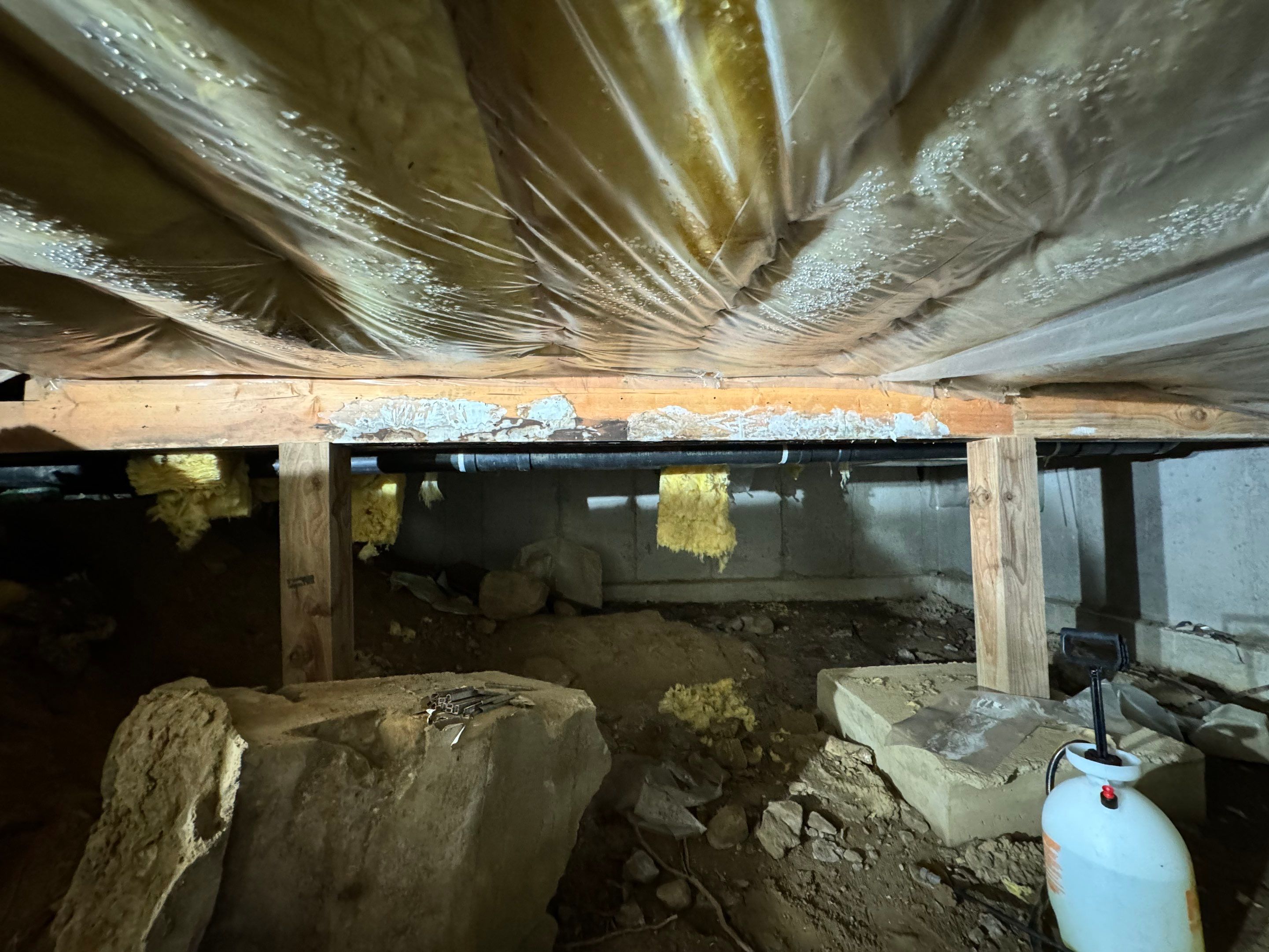 Mold Remediation (Basement) using Home Guarantee by Home Guarantee, LLC