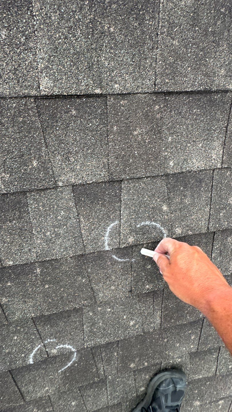 Franky Inspection by Boss Hogg Roofing