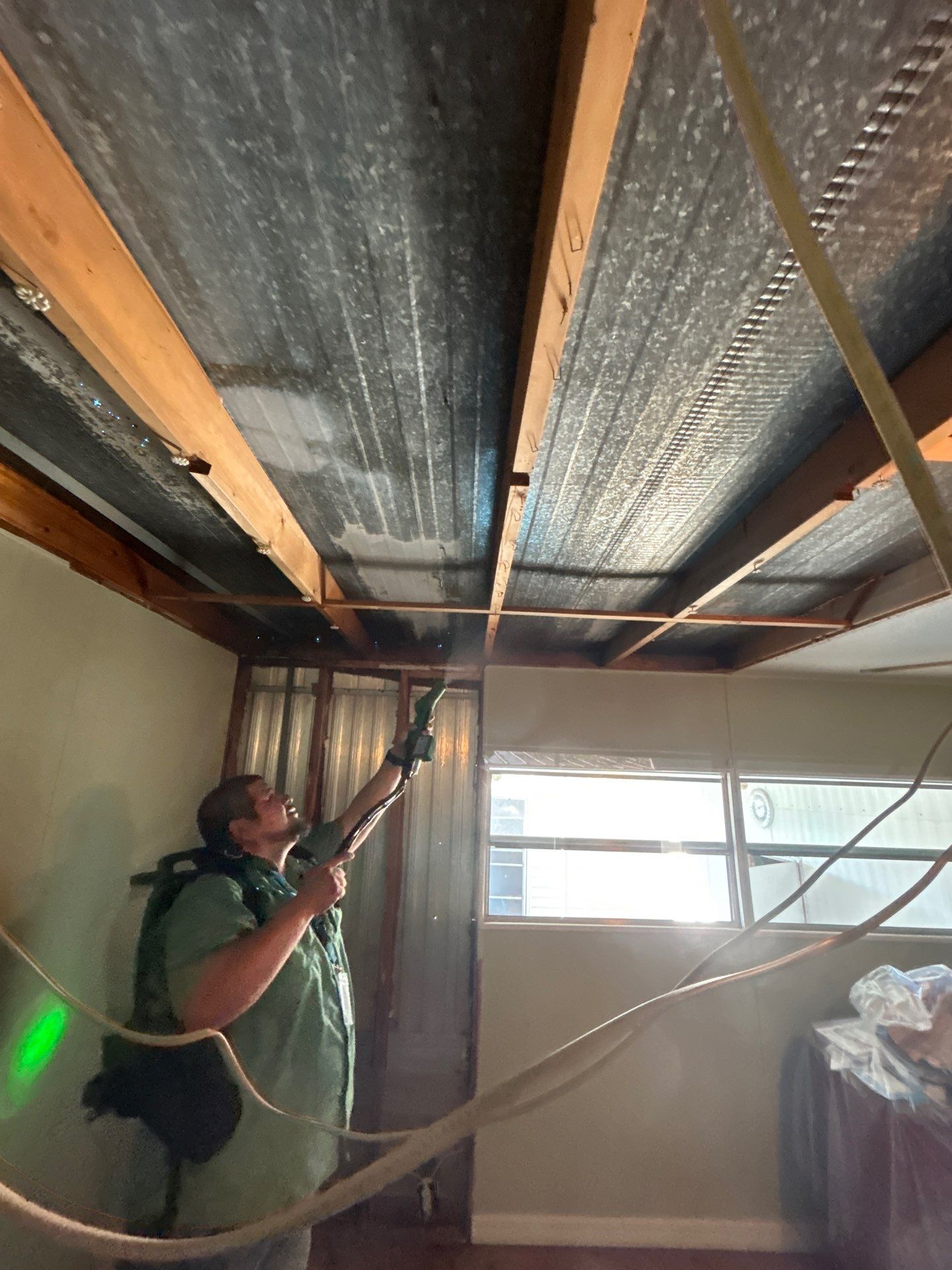 Mold Remediation Palmetto by Ampm Restoration Services 