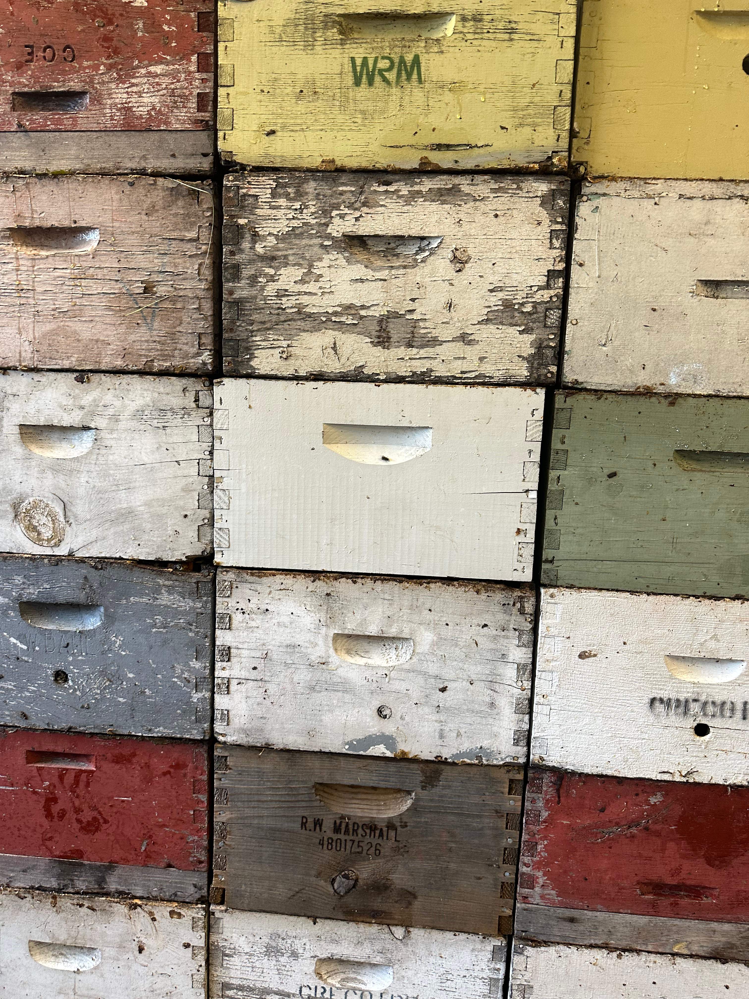 BeeGirl's Honey House in the Midwest by Rockwall Honey Bee Company