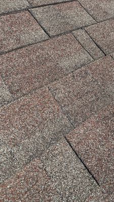 Turtle Shell gutter protection installation in Wheaton, IL 60189, photograph 13