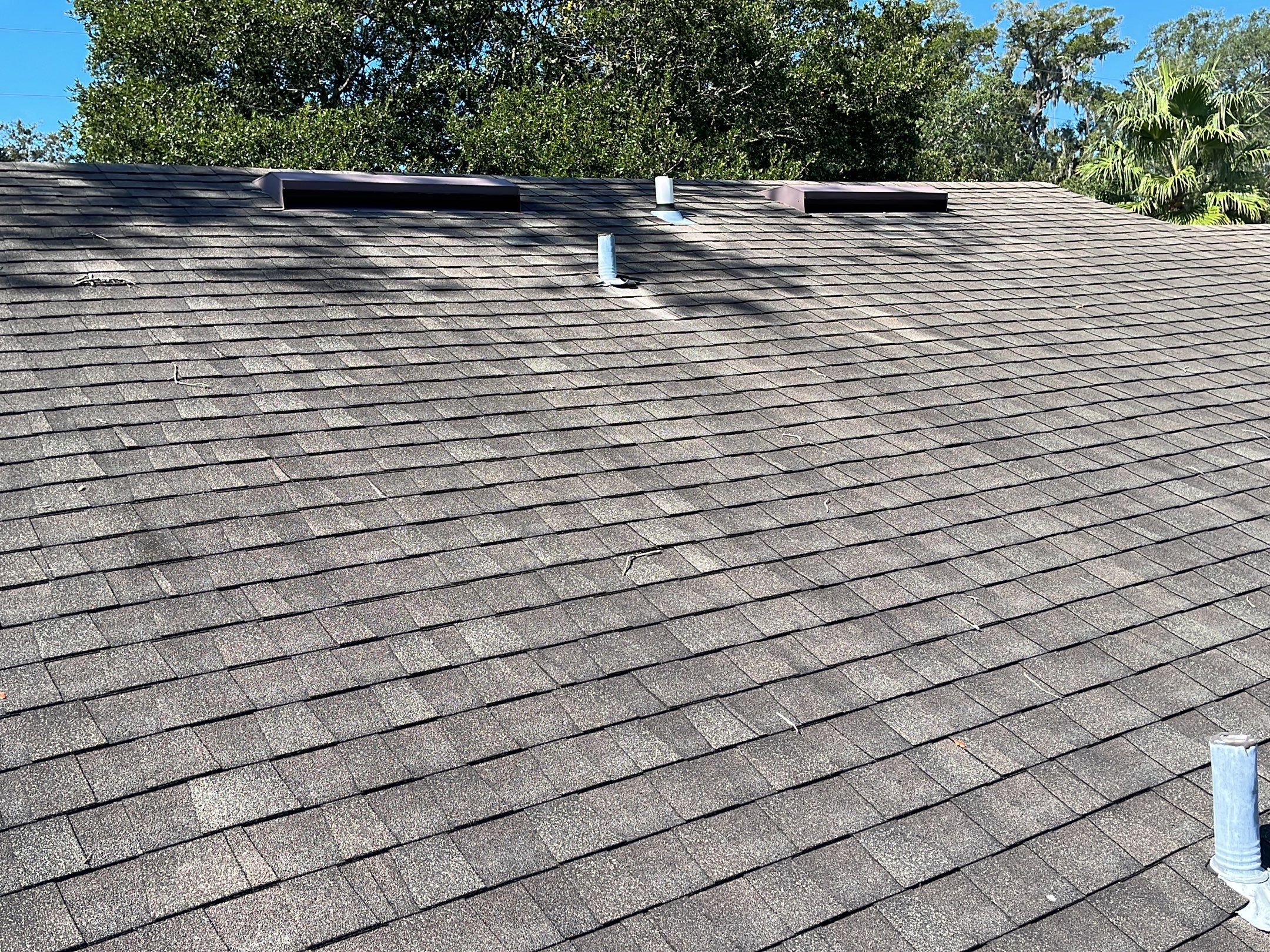 Shingle -> Shingle by Prime Roofing