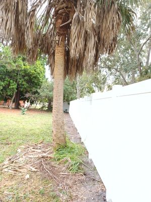 Sarasota, Fl White Vinyl Fence Installation
