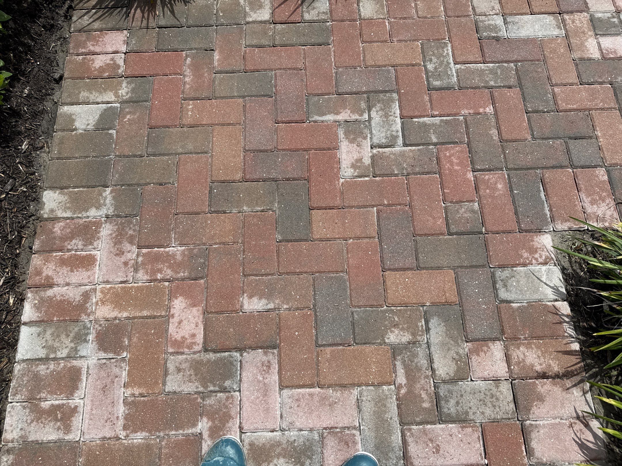 Complete House Wash, Driveway & Lanai Cleaning – Trevesta, Palmetto FL by Sunshine AquaWash