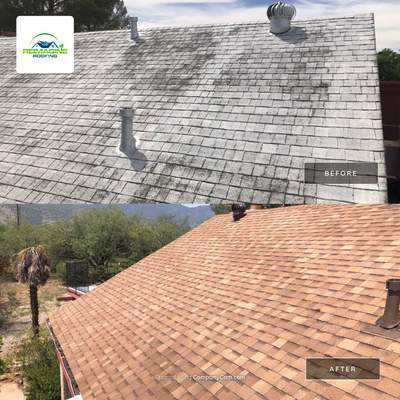 Sand Dune Shingles