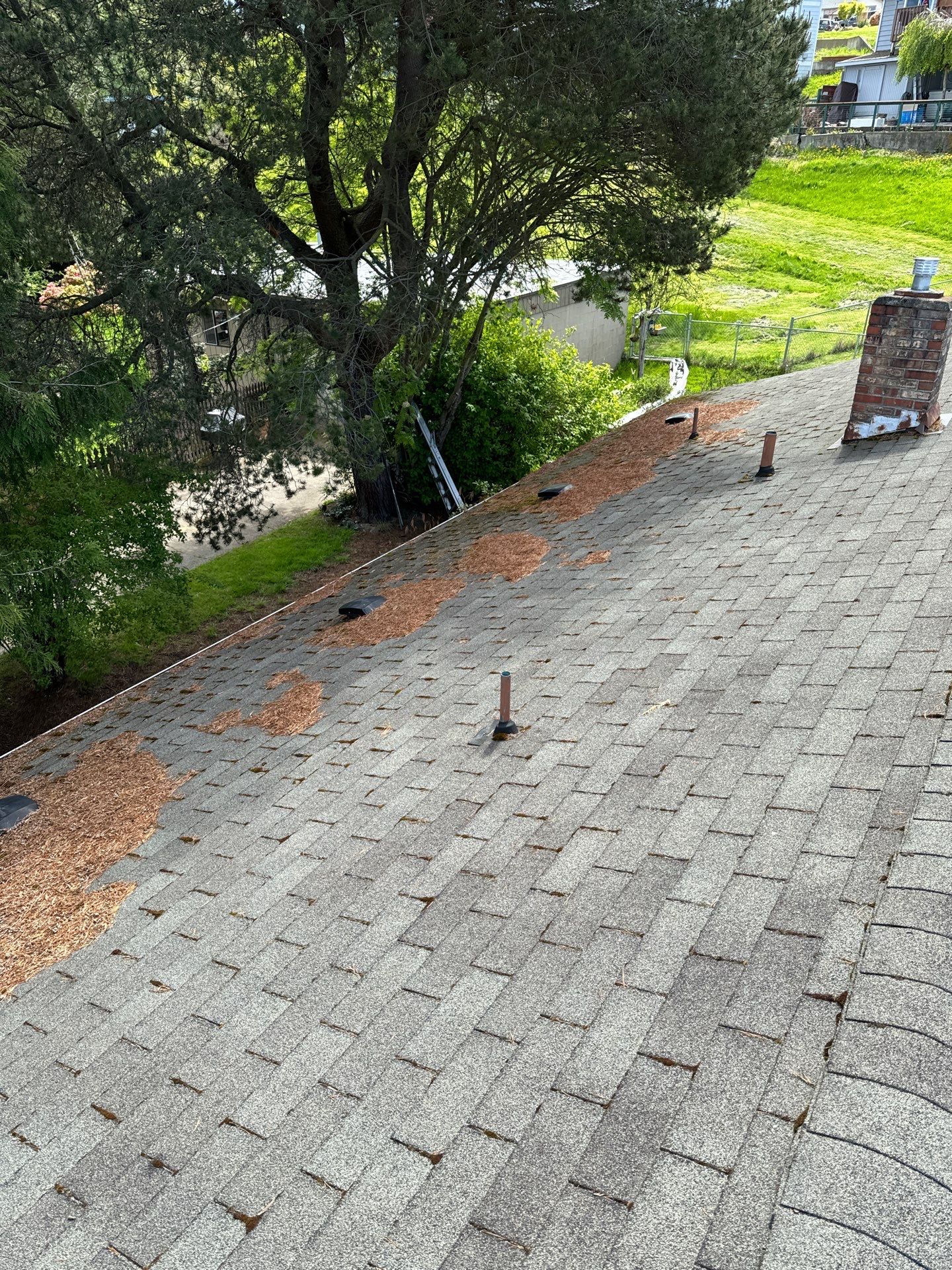 Project in Anacortes by Connolly Construction Company