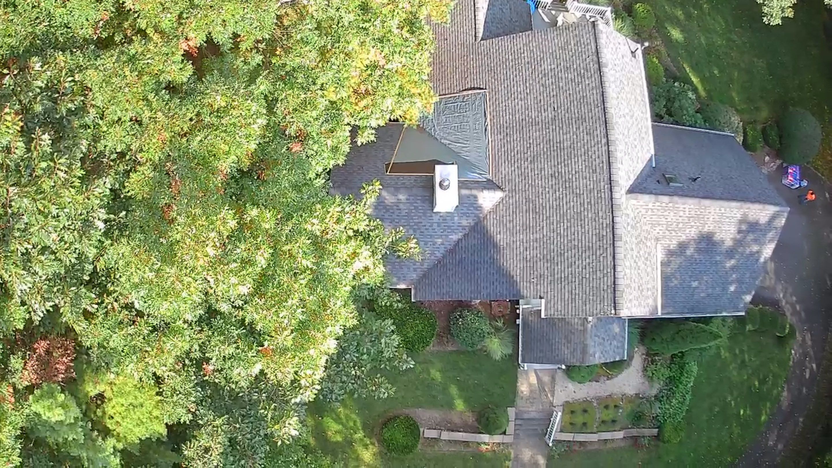 "Lightning-Fast Roof Replacement & Expert Flashing – Customer Delighted!" by Sensible Home Solutions