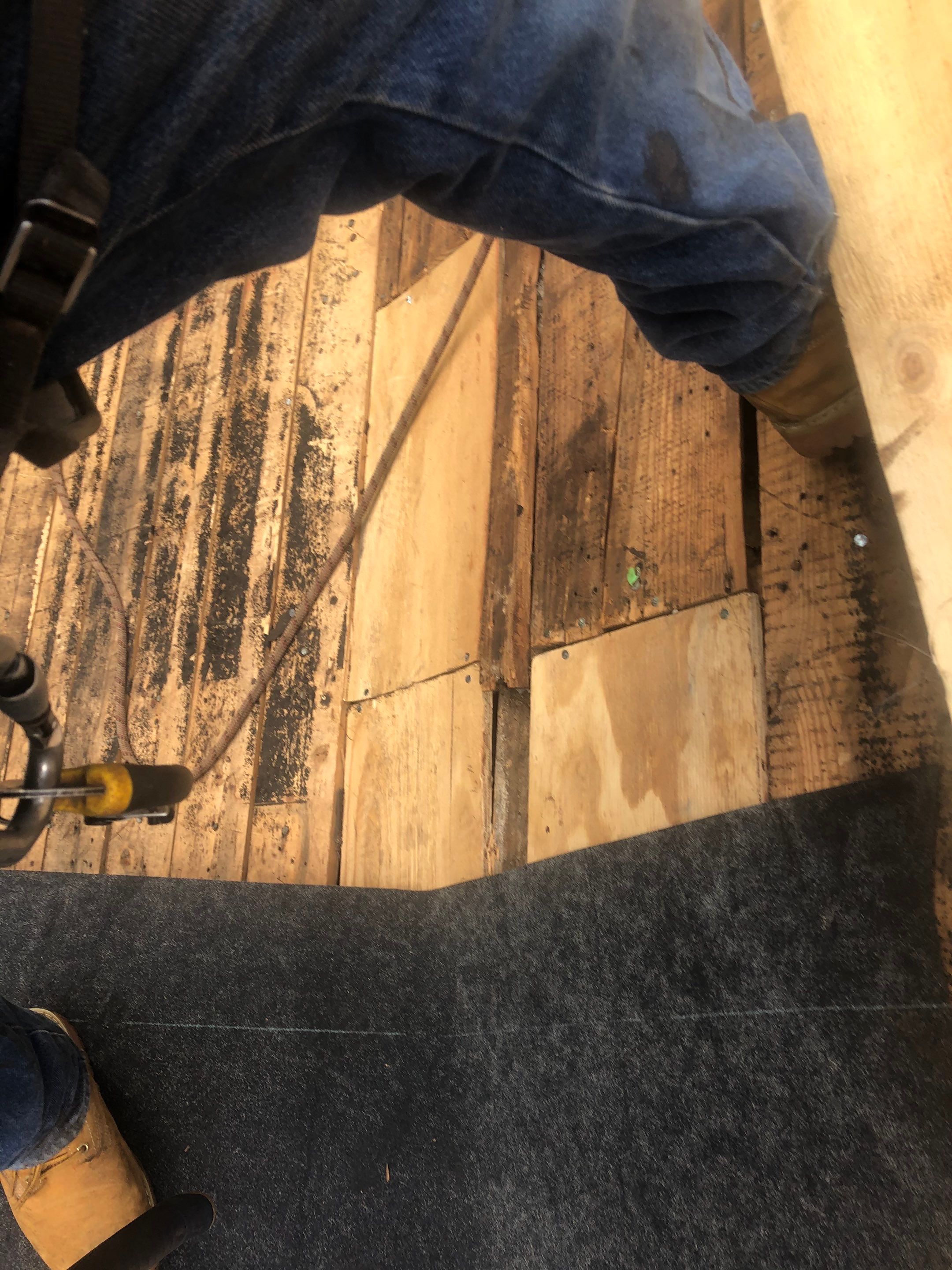 Arlington: CertainTeed Landmark Pro Designer Shingles in Max Def Shenandoah by RM Banning, Inc.