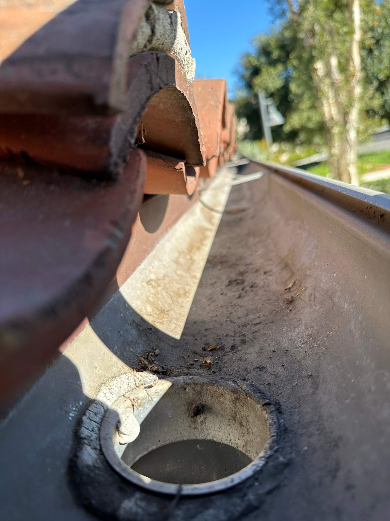 Orange County Gutter Cleaning by Property Cleaning Experts