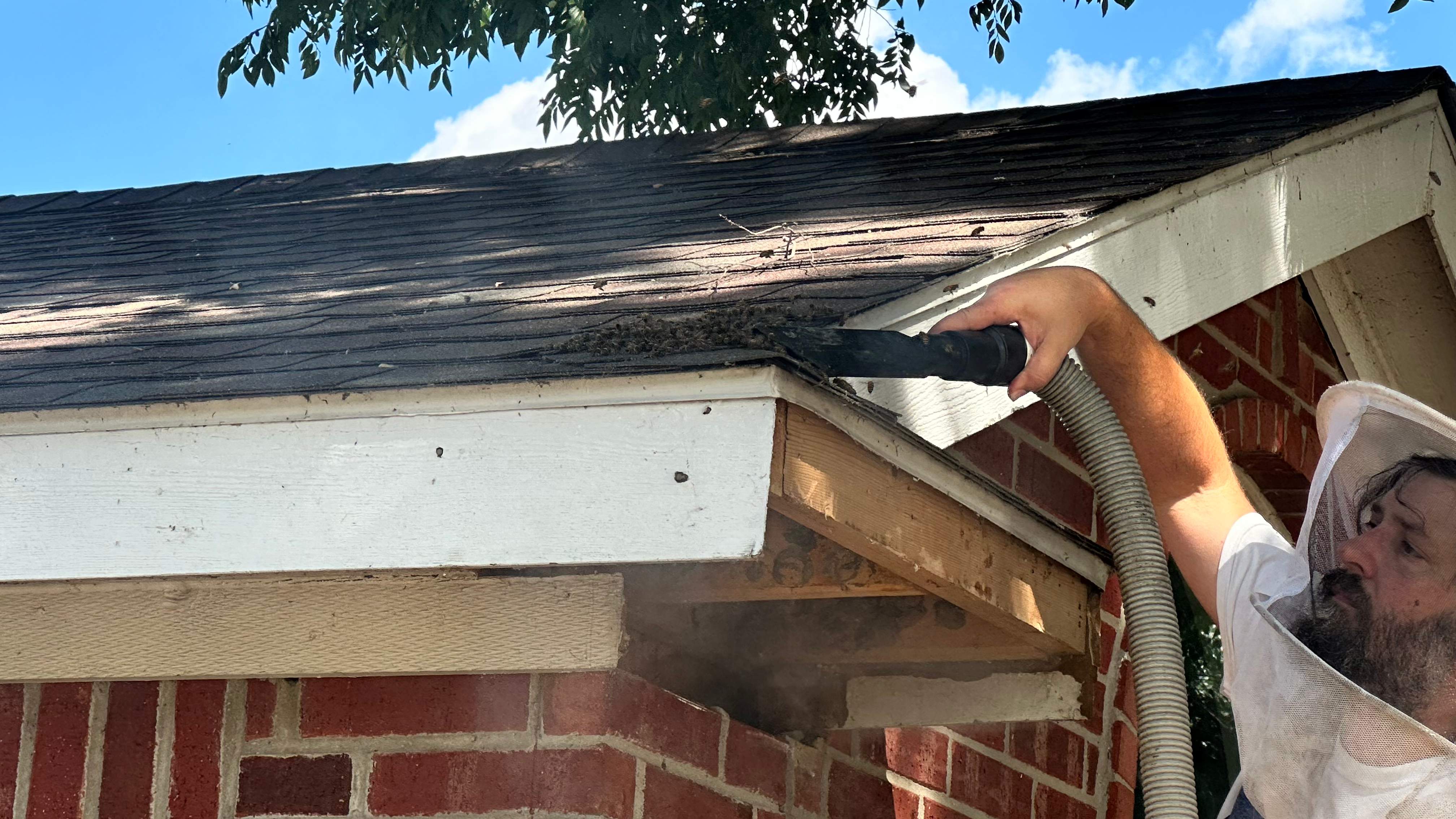 Soffits! by Rockwall Honey Bee Company