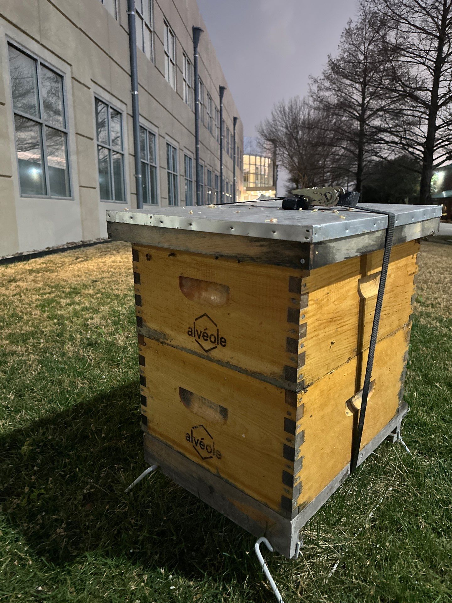 Allen Company by Rockwall Honey Bee Company