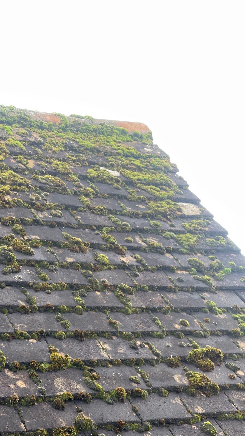Roof Clean - Biocide Treatment using Honda 15lpm Low Pressure Washing Machine by Ges Exterior Cleaning ltd