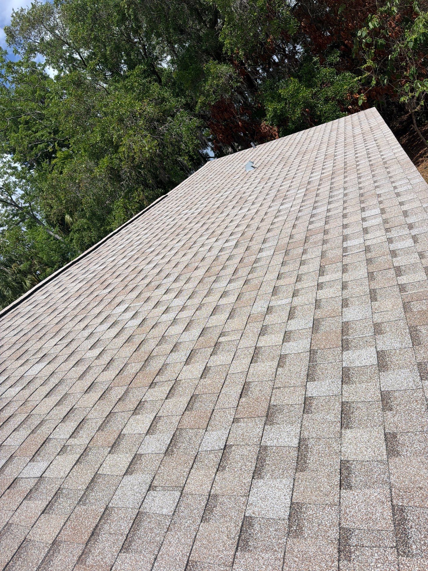 Shingle Reroof Replacement Sanford FL by Pinnacle Roofing Group