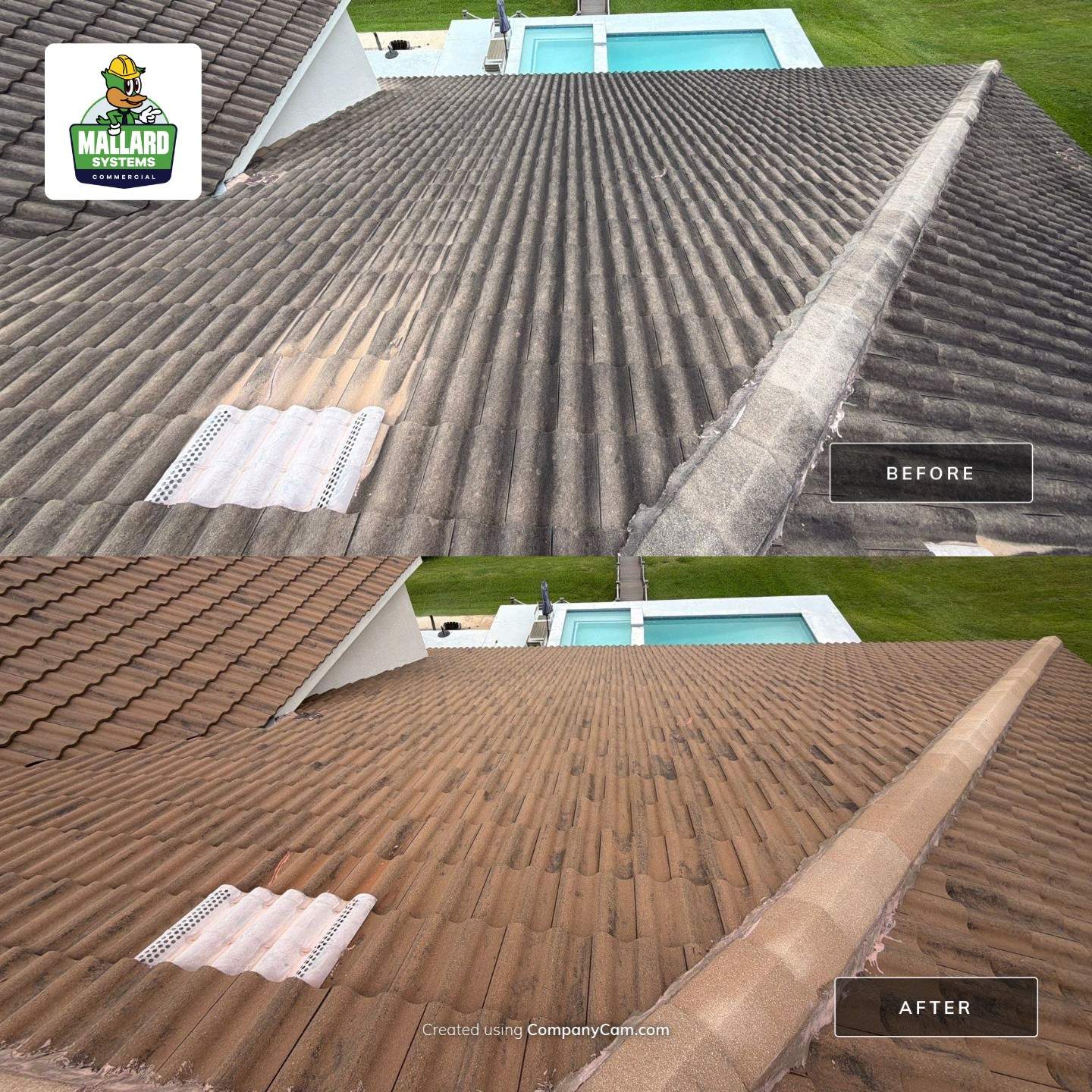 Roof and Exterior Cleaning by Mallard Systems