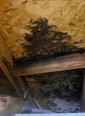 Repair Photos
