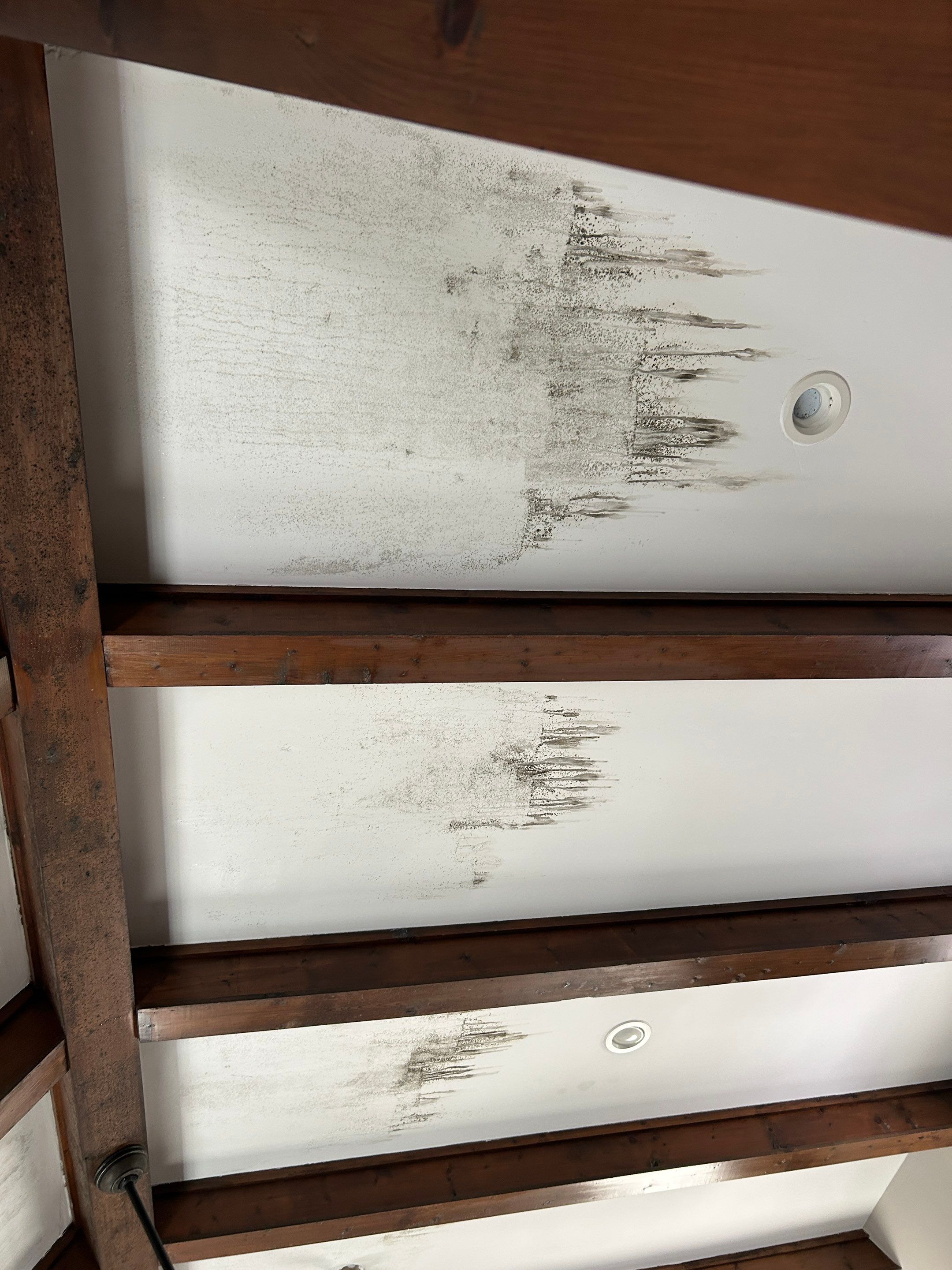 Ceiling Renovation & Insulation Upgrade by PGP Surface Solutions, LLC