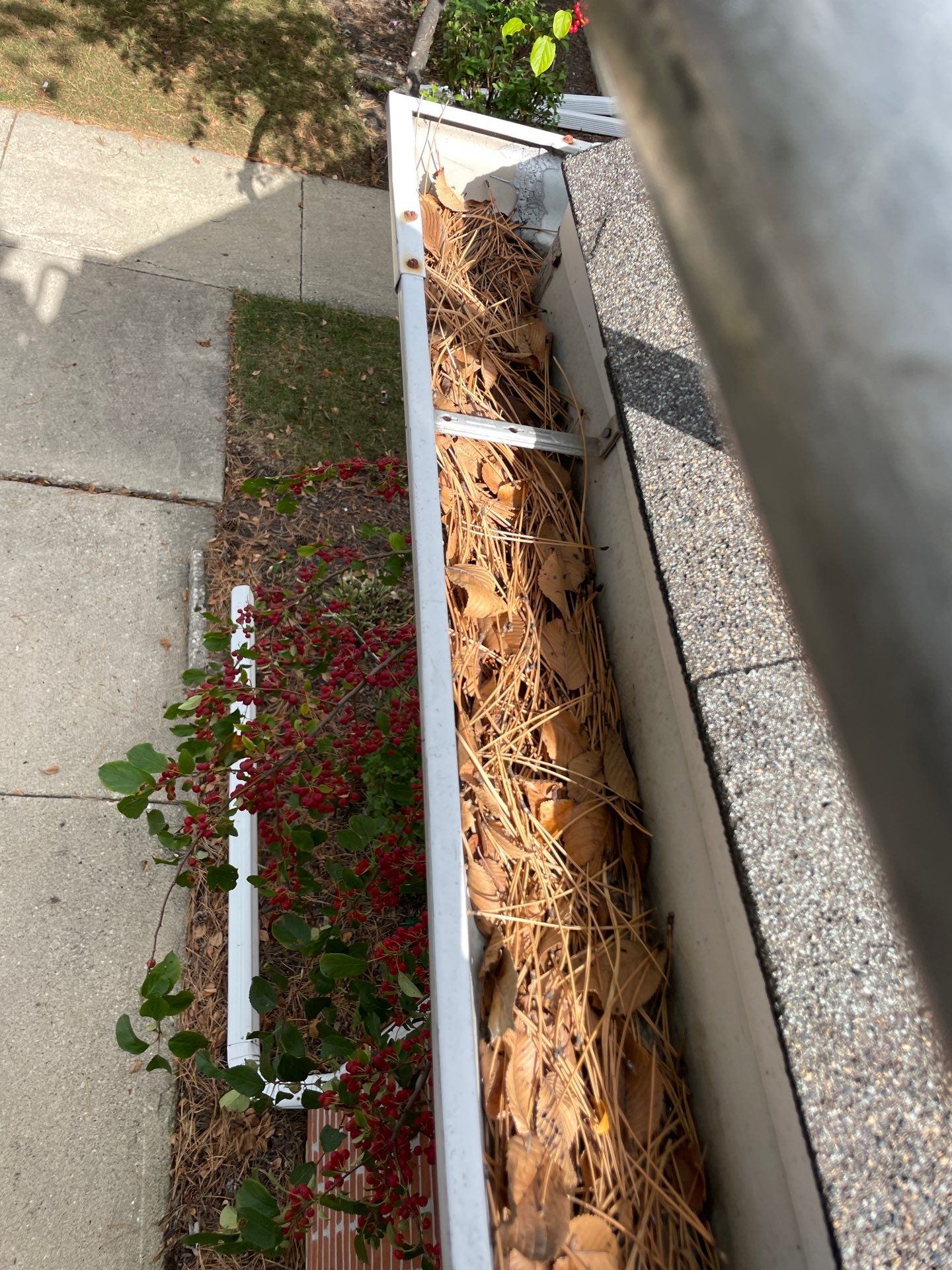 Commercial gutter cleaning Schaumburg & Hoffman Estates, IL before photo with filled gutters