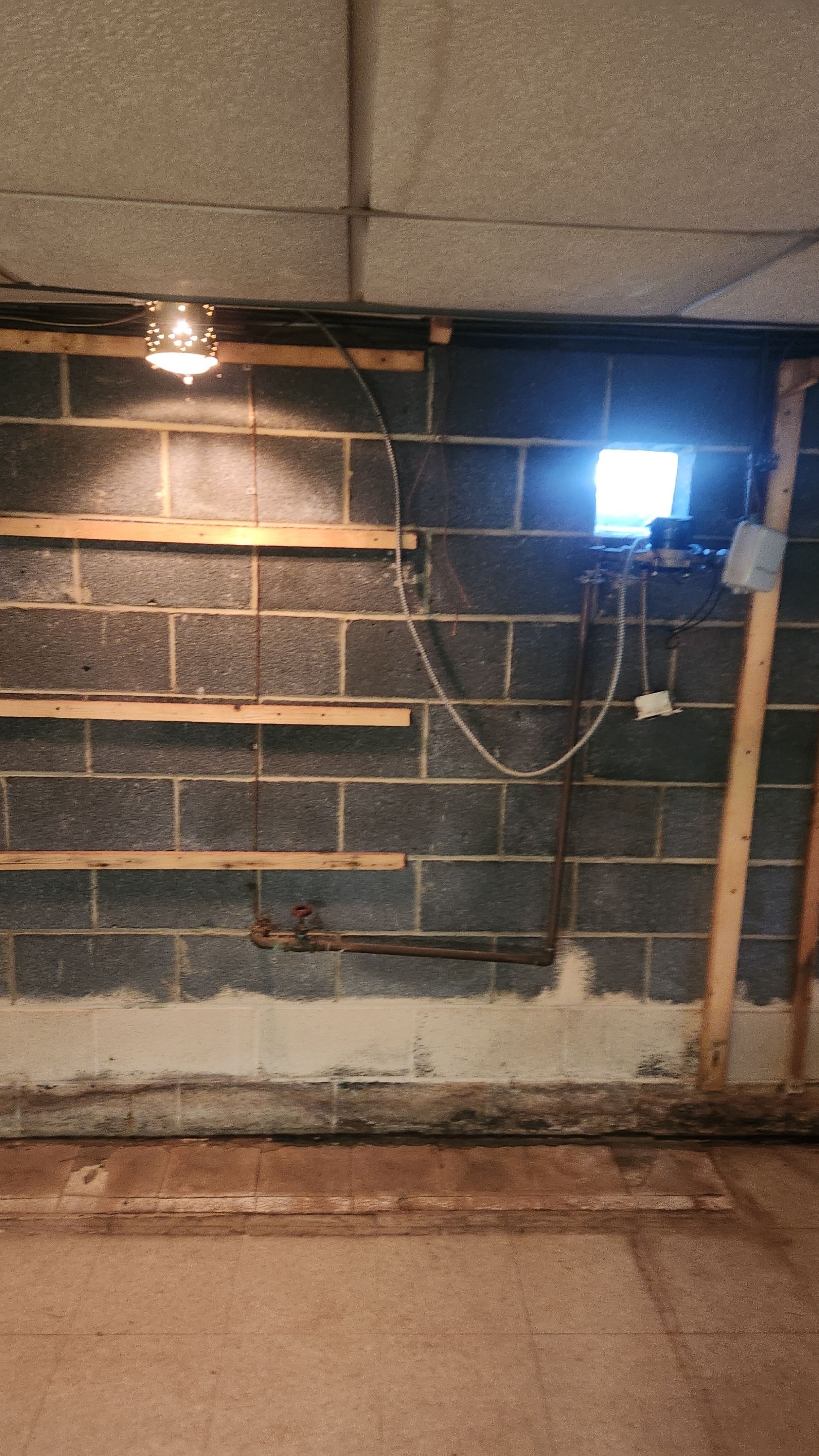Interior French Drain & Mold Remediation Project in Manville, New Jersey by Pure Service Pro, LLC 