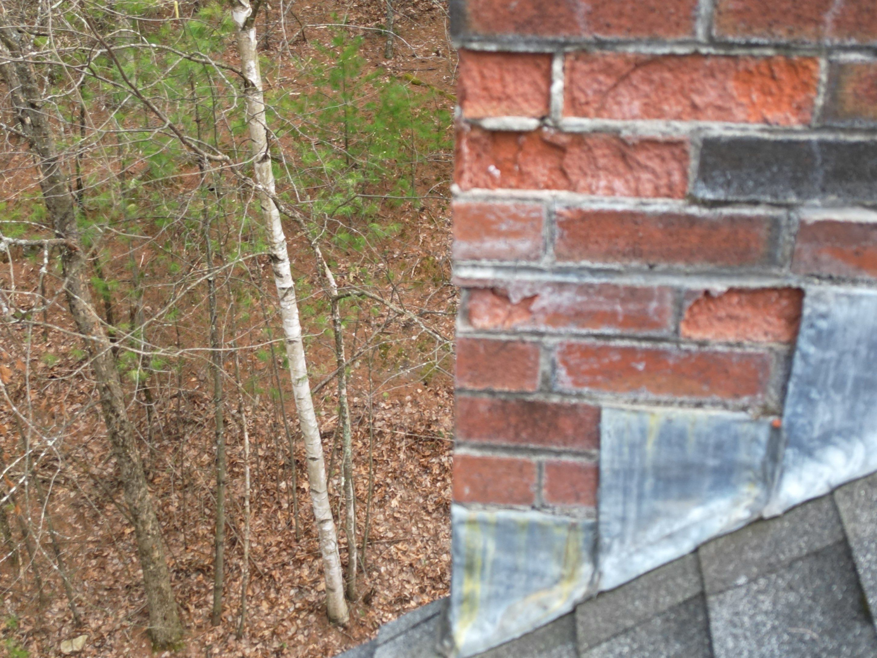 Siding | Dunstable by Mighty Dog Roofing of Greater Middlesex County