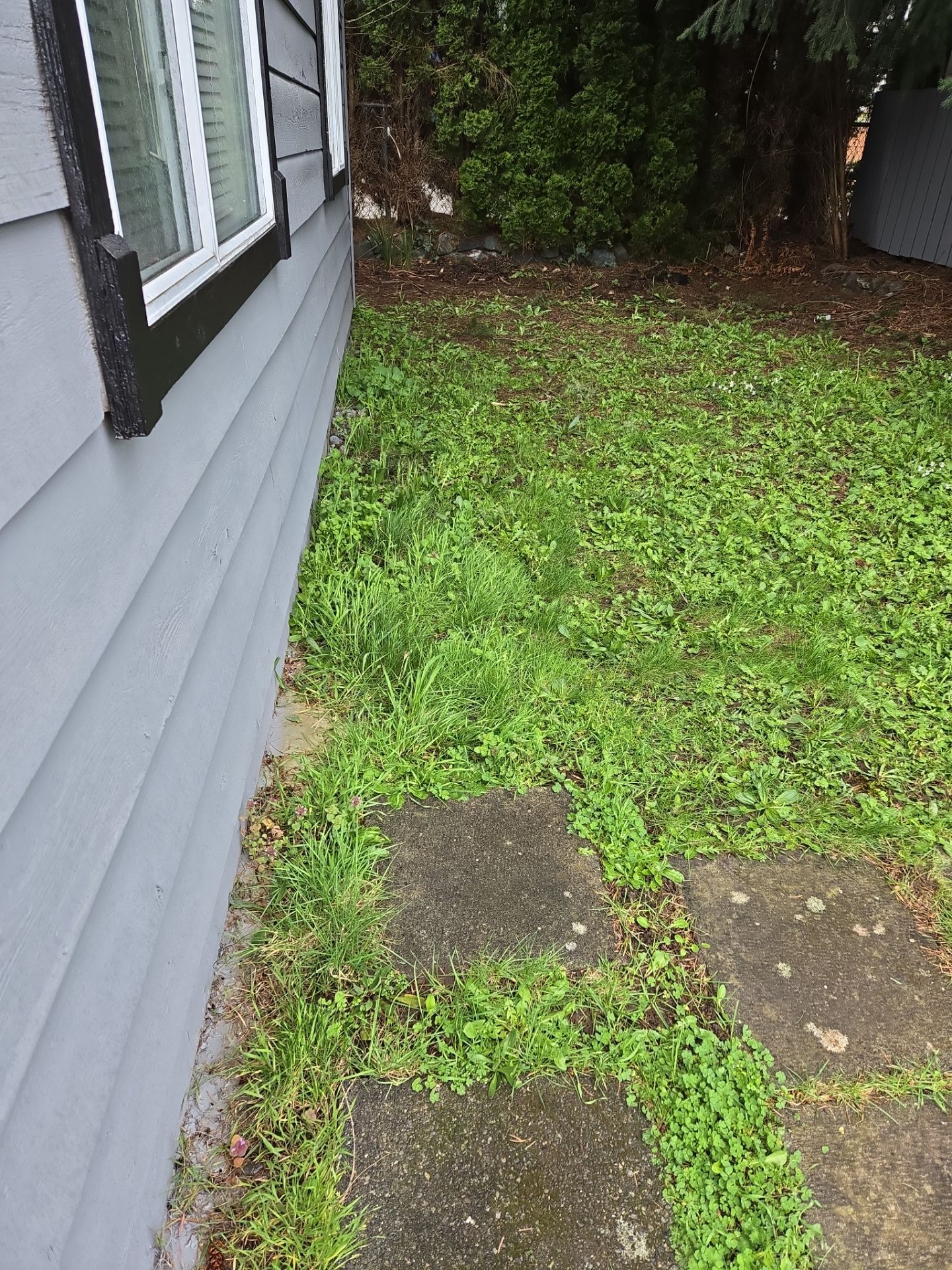 Complete backyard transformation by Habanero Garden and Exterior Care