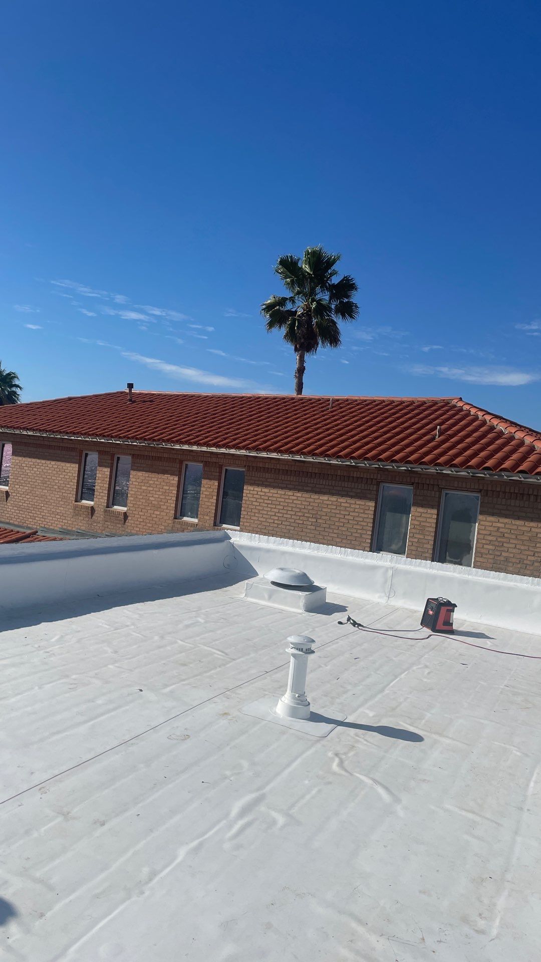 Problems in Paradise  by Bayfront Roofing and Construction