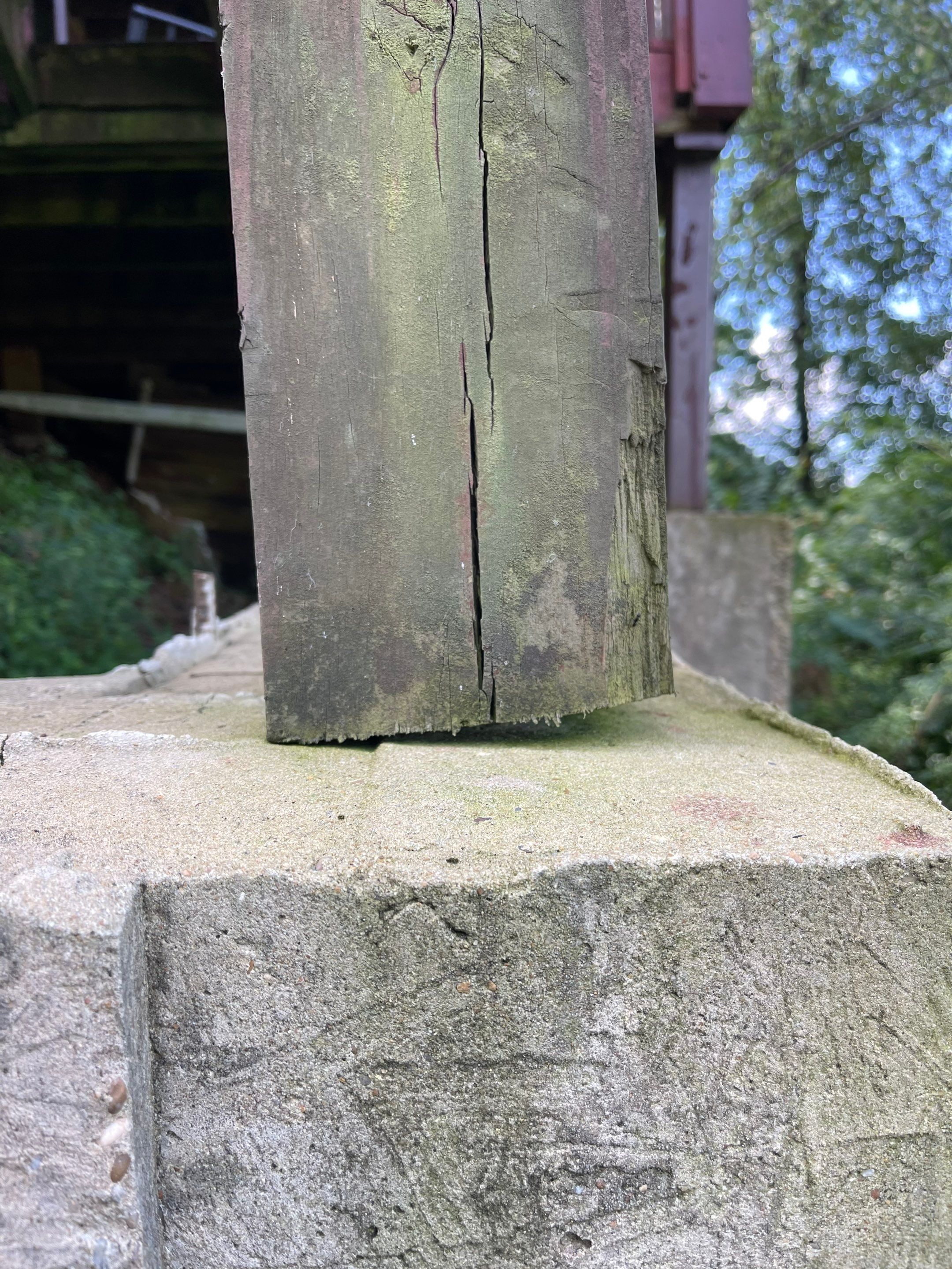 Shades Crest - Deck by Pillar and Pine