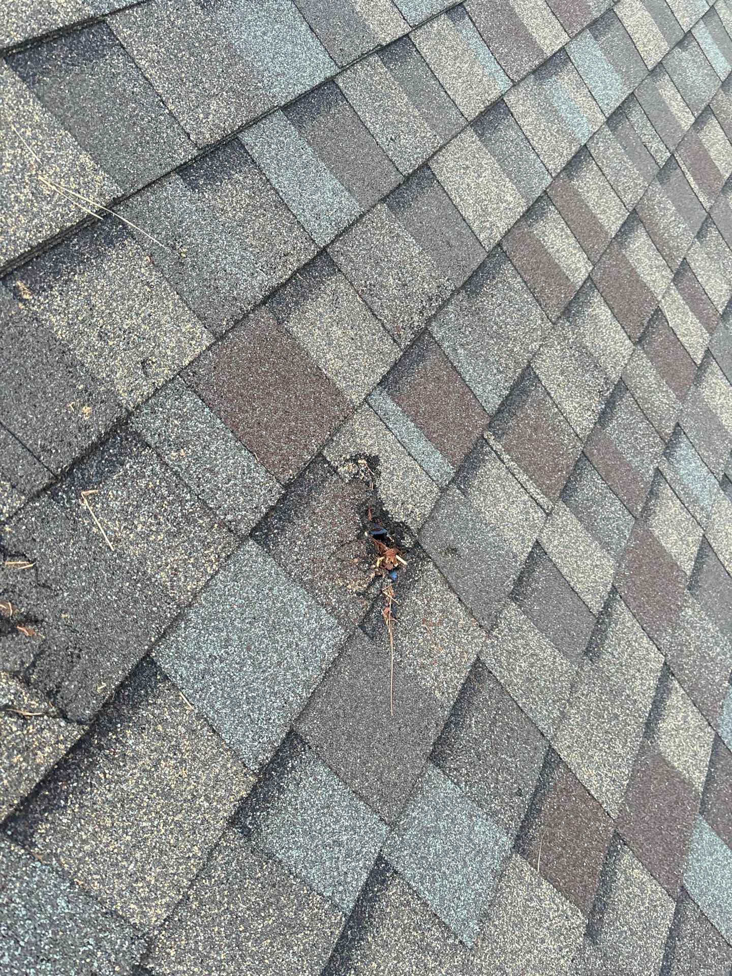 Roof Repair Spring by Roof Repair Company