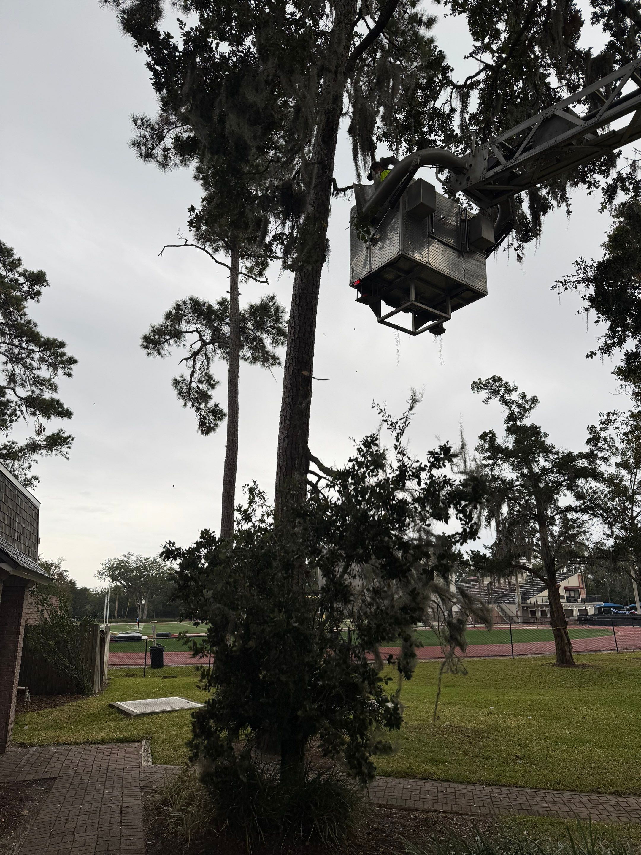 Volunteer Work | Episcopal High School of Jacksonville by ProGreen Services