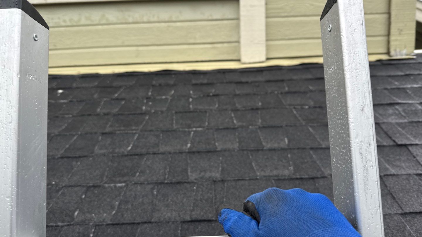 Project in Antelope by NuLead Construction Inc