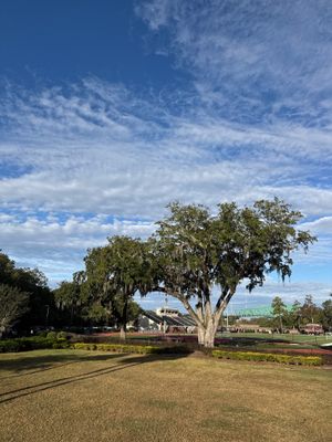 Volunteer Work | Episcopal High School of Jacksonville