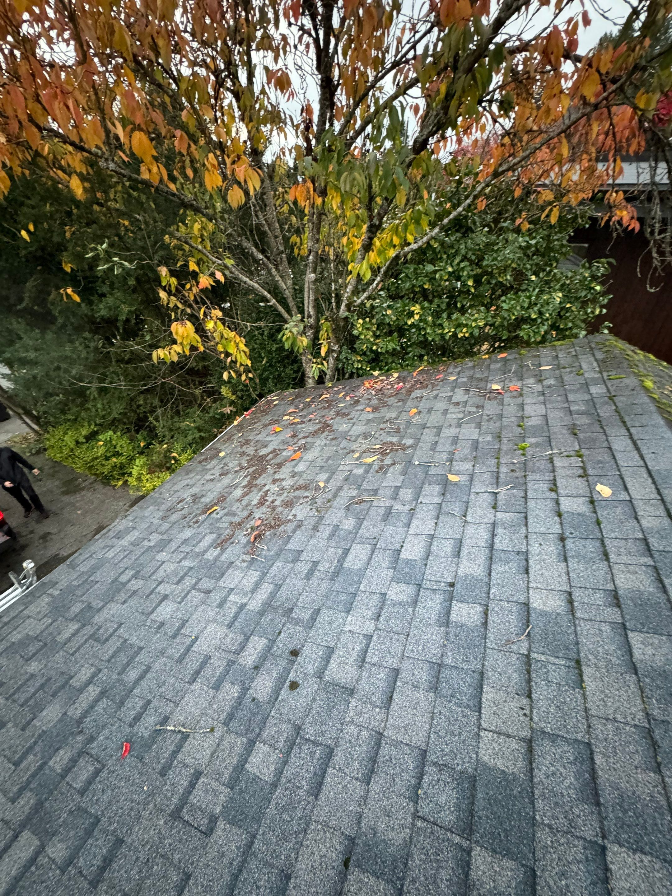Roof cleaning by YVR Construction Group