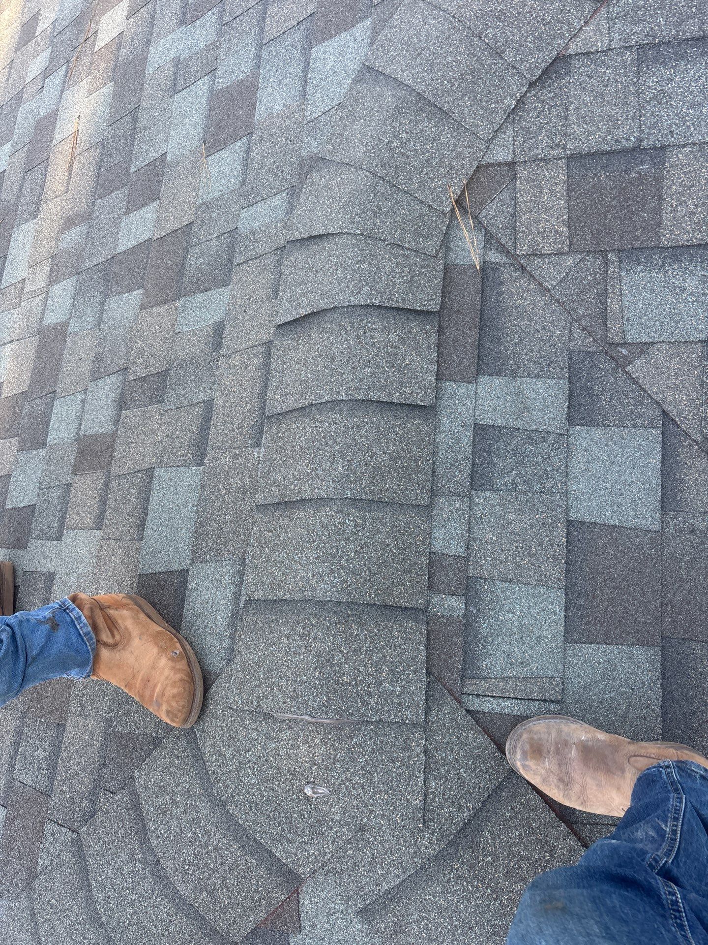 Roof Replacement Spring by Roof Repair Services LLC