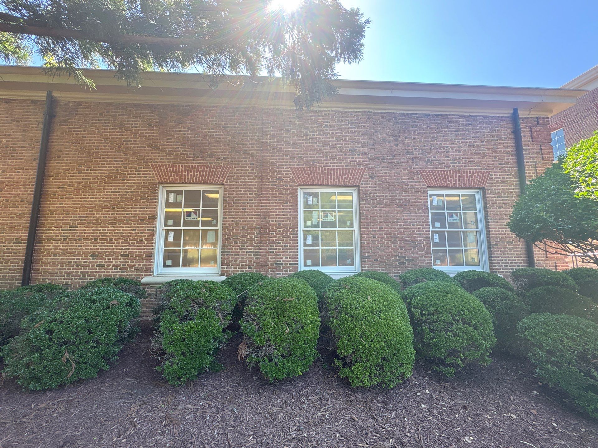 Cary Academy by Window Works