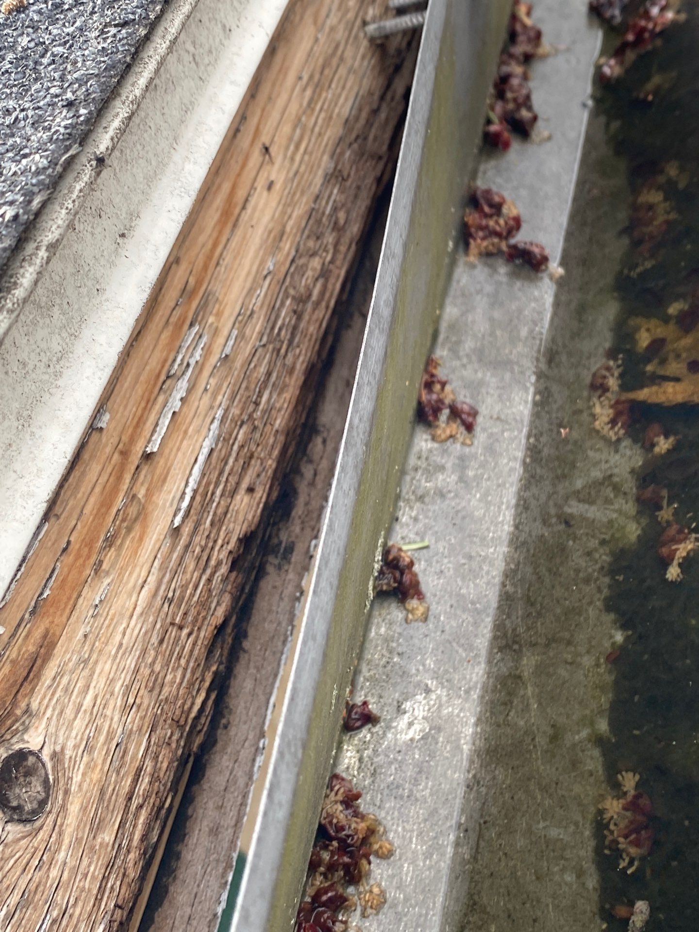 Roofing & Gutters | Lawrence by Mighty Dog Roofing of Greater Middlesex County