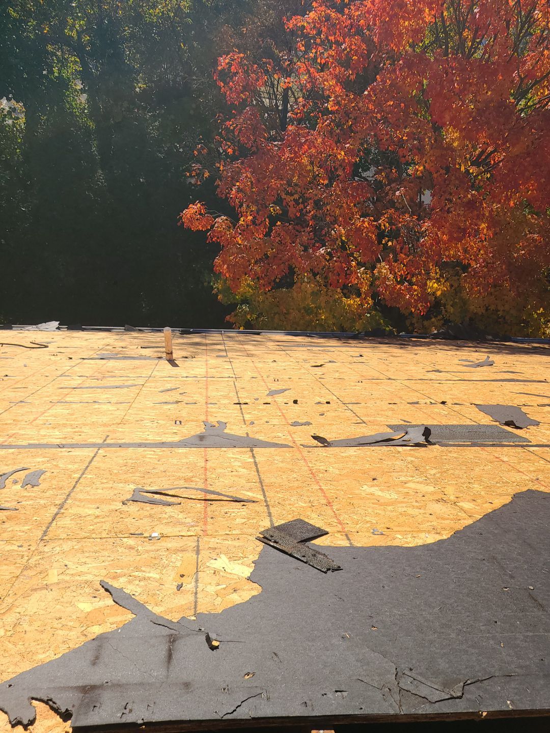 Alexandria: Residential Roof Replacement with CertainTeed Landmark Pro Designer Shingles in Max Def Moire Black by RM Banning, Inc.