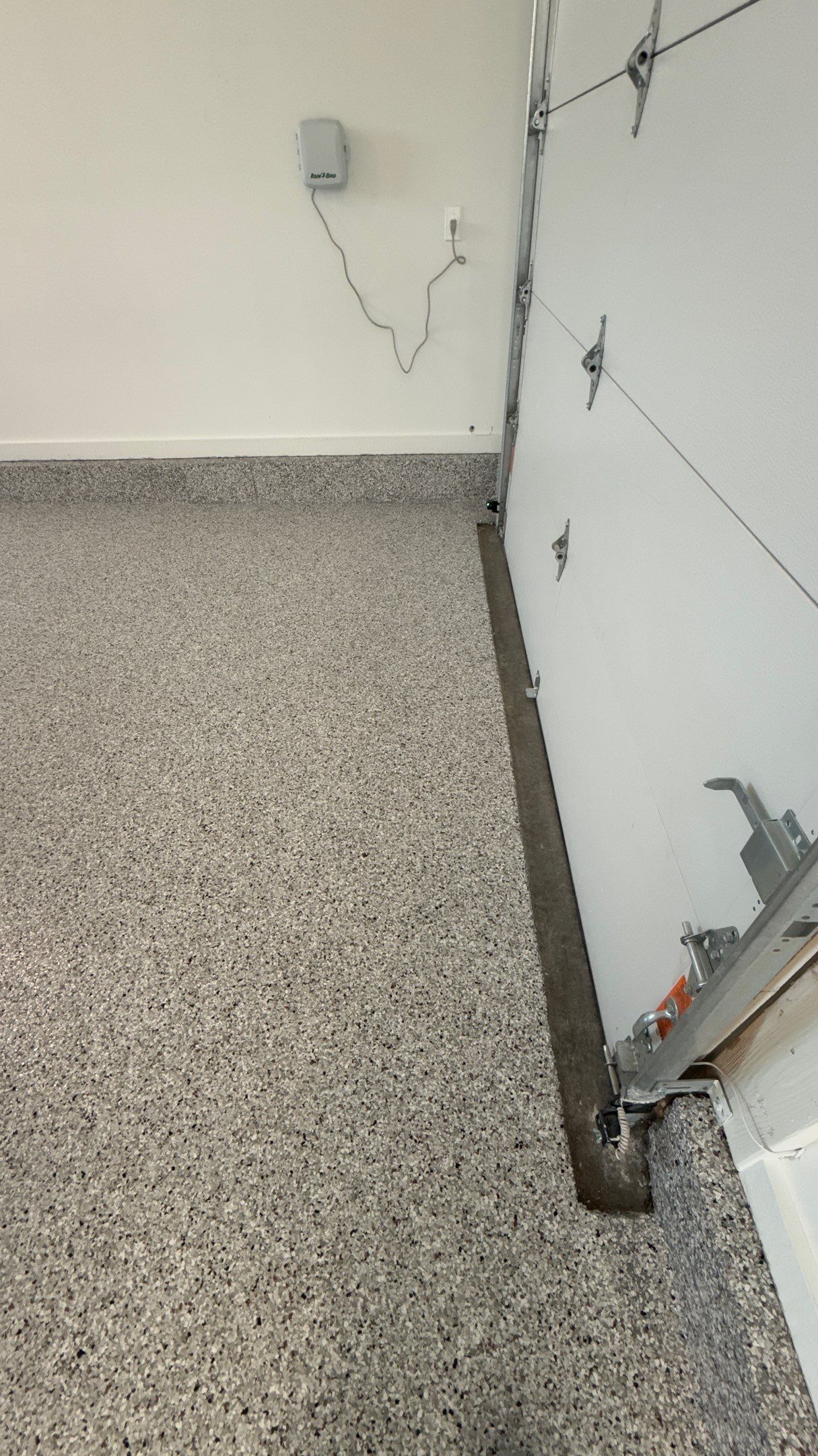 Coyote Is a Popular Color  by Banner Garage