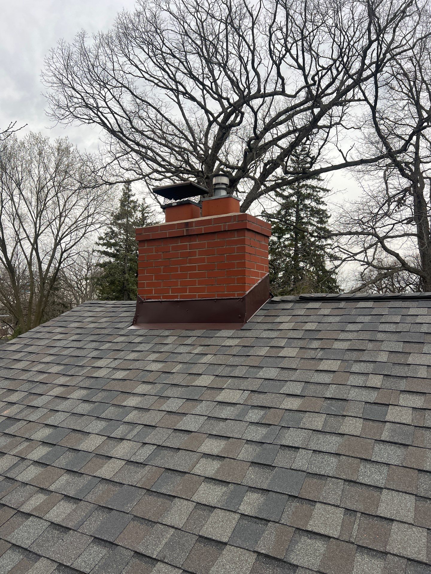 Project in Pleasant Ridge by Eave Roofing
